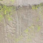 patrimoine guanche vandalisme teno tenerife