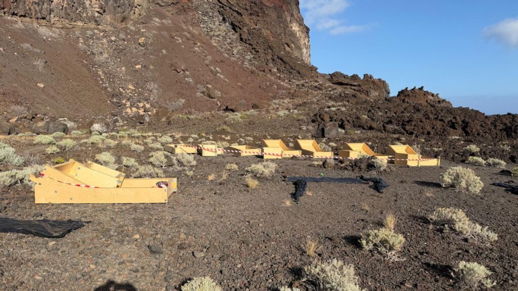 polemique transats beton el hierro