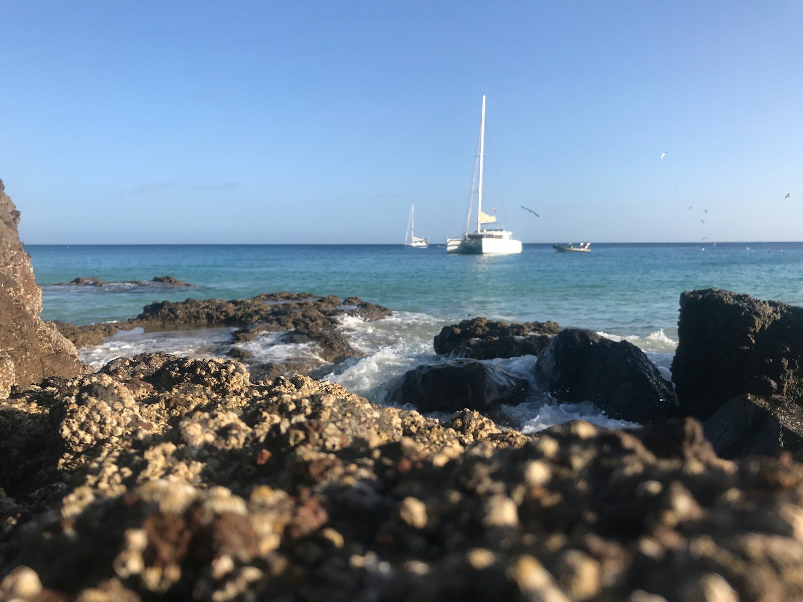 white sailboat on sea during daytime