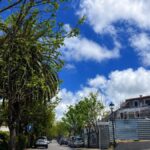 tacoronte logements projets immobilier debloques