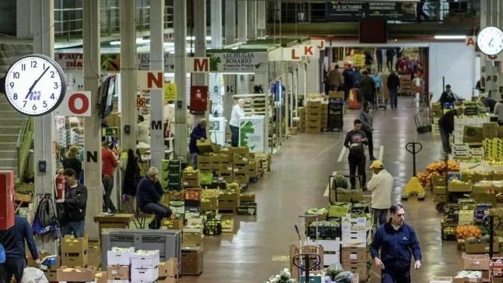 tenerife 3 3 millions regeneration talus mercatenerife