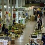 tenerife 3 3 millions regeneration talus mercatenerife