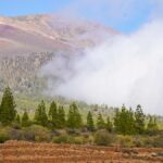 tenerife experience oenologique unique volcans