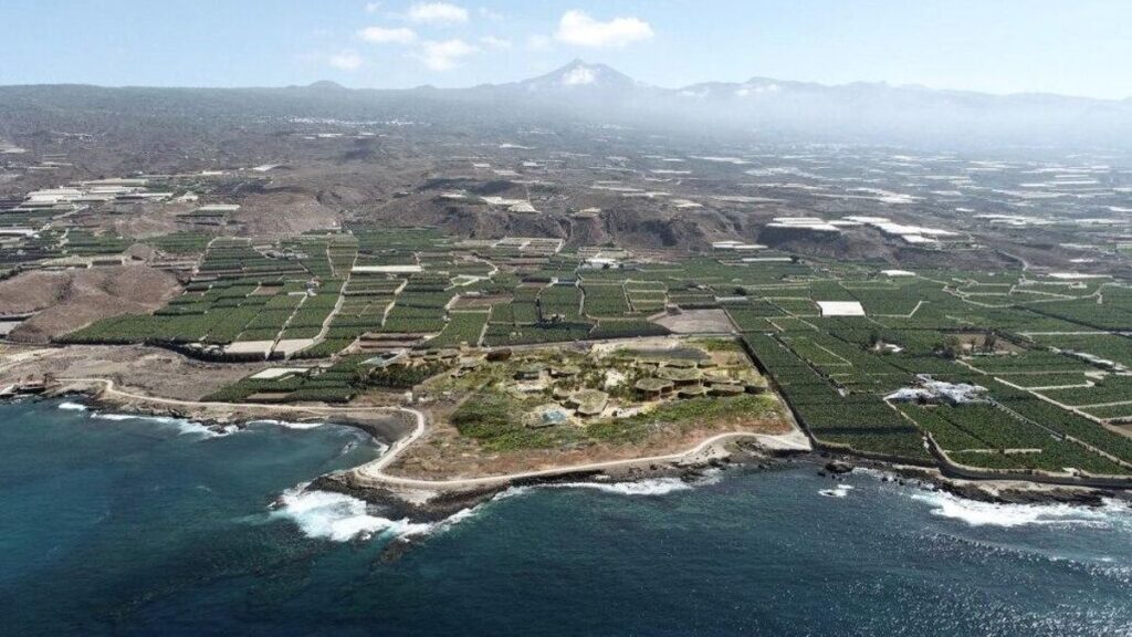 underwater gardens tenerife lits touristiques