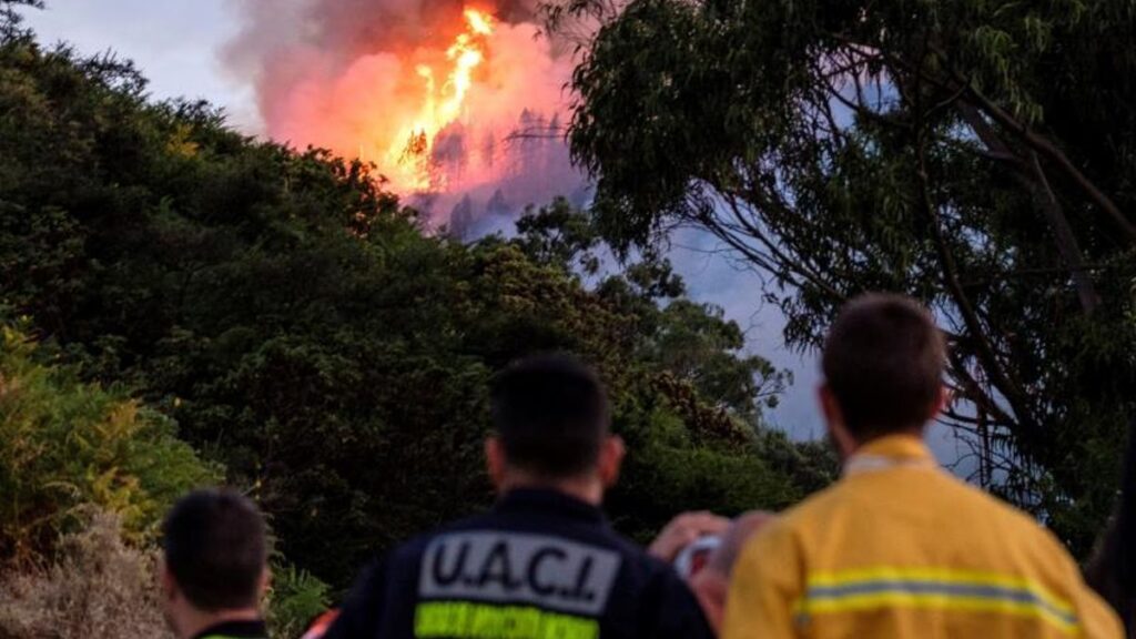 alerte incendies gran canaria tenerife juillet 2026