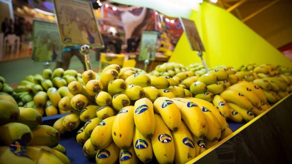 banane canaries crise prix ete 2026