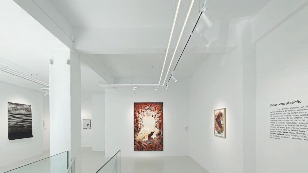 galeria artizar exposition madrid terra al asfalto