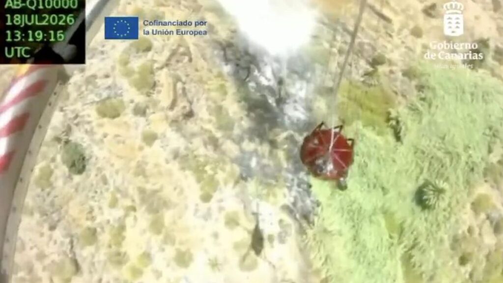 masca incendie foret matrice arrestation