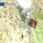 masca incendie foret matrice arrestation