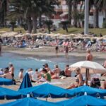canaries population etrangere augmentation