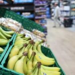 crise banane canaries concurrence