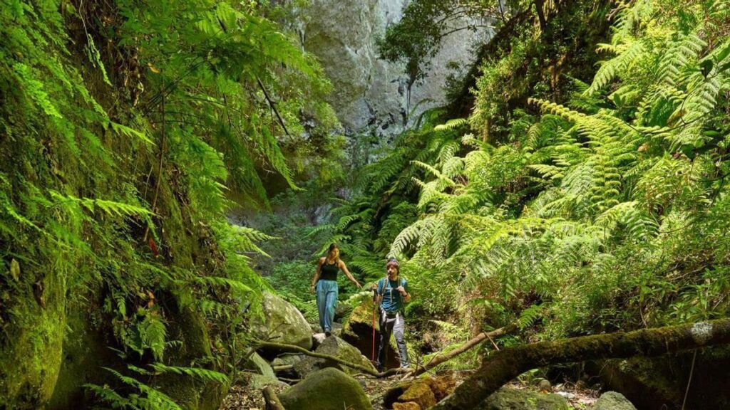 la palma paradis tourisme allemand canaries