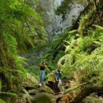 la palma paradis tourisme allemand canaries