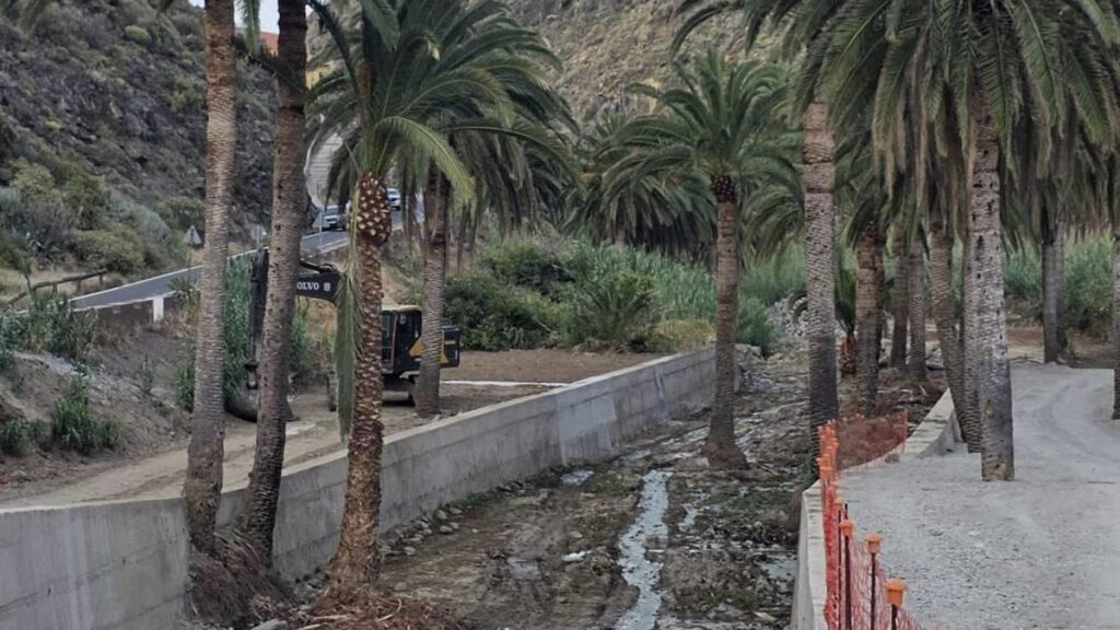 palmiers beton gomera polemique