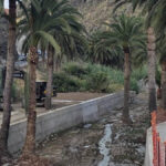 palmiers beton gomera polemique