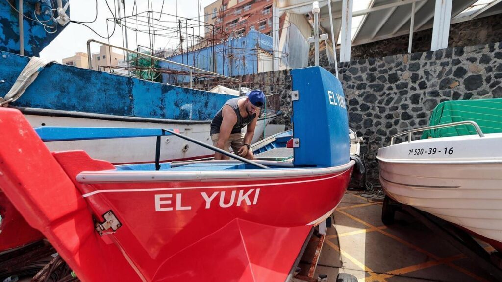 peche tenerife cofradia punta del hidalgo port