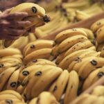 prix banane canaries aout 2026 recul