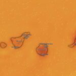 alerte chaleur canaries fuerteventura gran canaria lanzarote