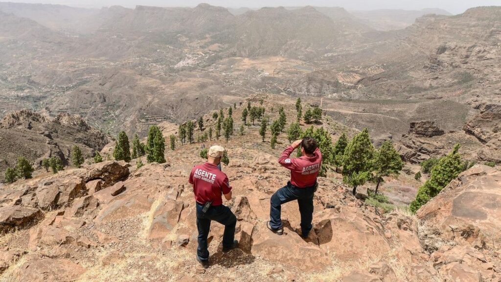 alerte incendies gran canaria 400 metres