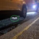 caiman sous voiture las palmas