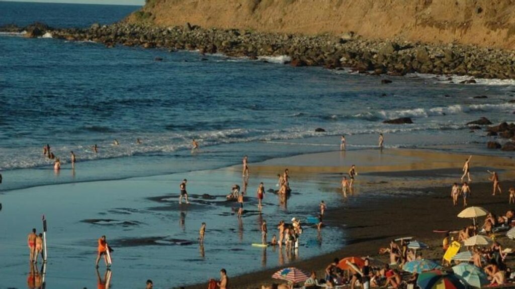gran fiesta vinos tenerife los realejos 2026
