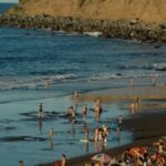 gran fiesta vinos tenerife los realejos 2026