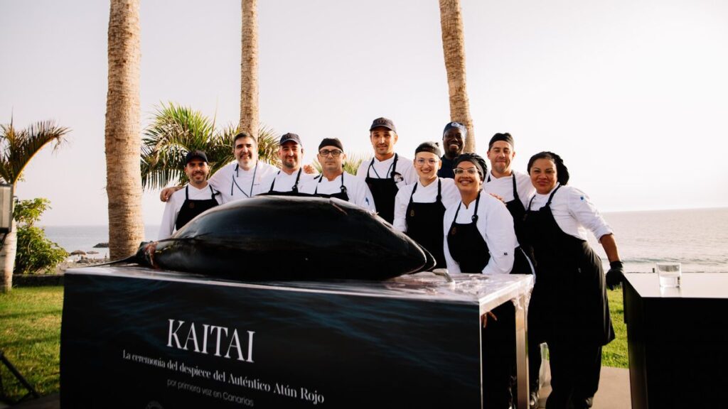 kaitai thon rouge tenerife tivoli caleta