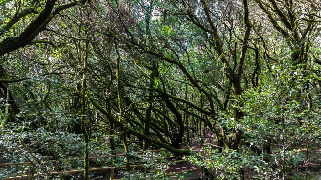 la gomera ile tranquille classement mondial