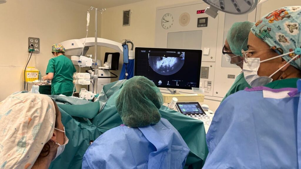 lanzarote ablation myomes micro ondes