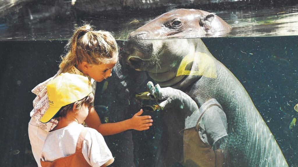 loro parque gratuit punta brava las adelfas