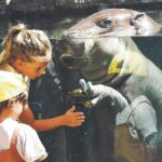 loro parque gratuit punta brava las adelfas