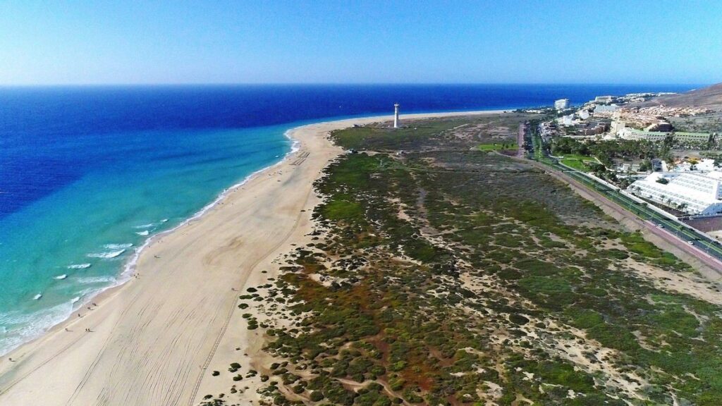 plage matorral lopesan tribunal supreme