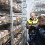 tenerife banque semences centre conservation biodiversite agricole