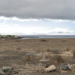 arrecife 521 logements plage el cable psoe