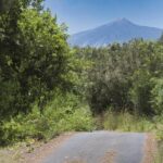 icod de los vinos douze routes autoguidees