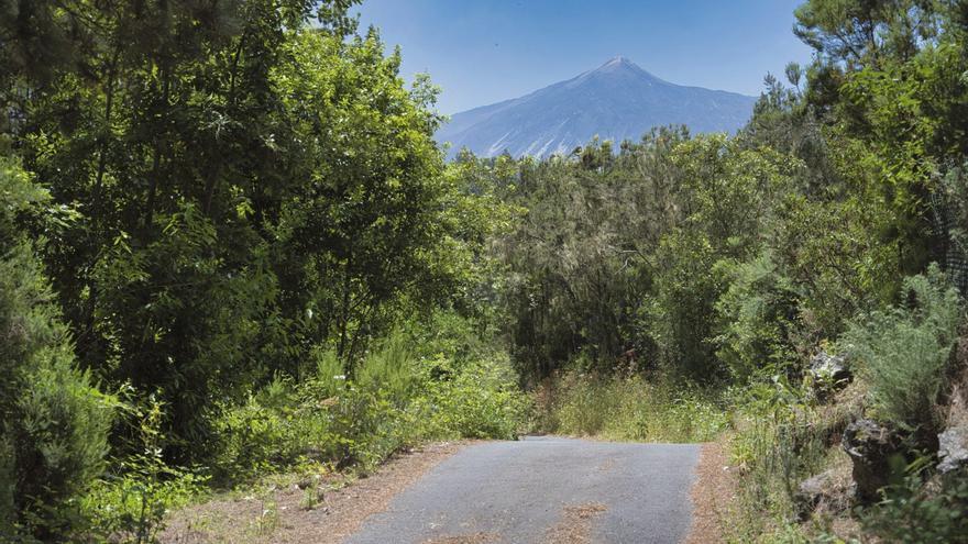 icod de los vinos douze routes autoguidees