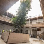 institut musees gran canaria