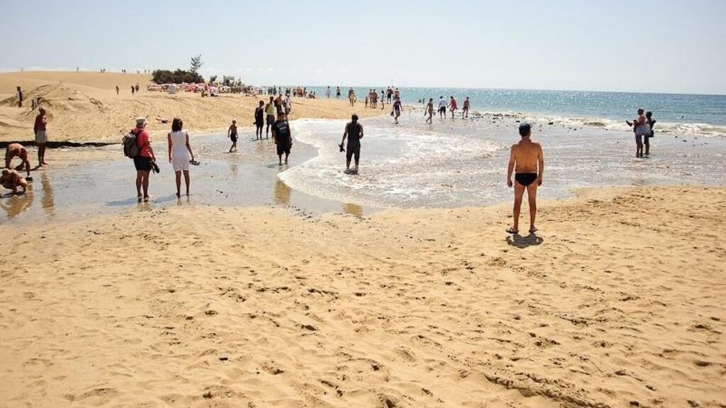 manuel histoire tourisme gran canaria ecoles