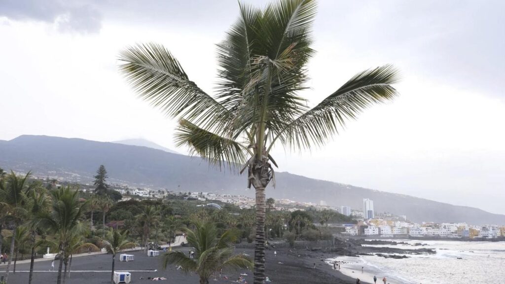 playa jardin puerto cruz reouverture