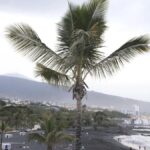 playa jardin puerto cruz reouverture