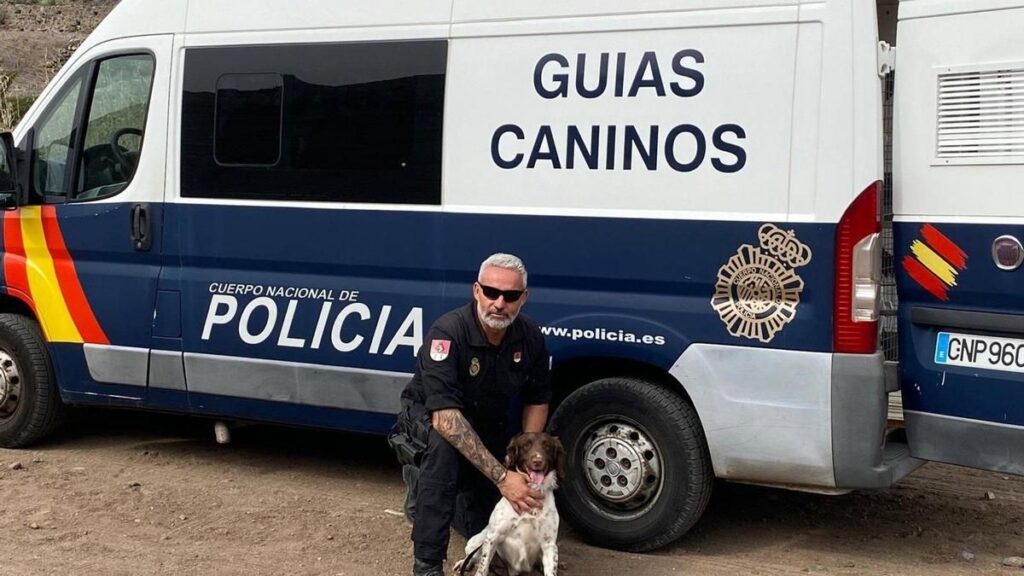 rony chien police nationale canaries distinction
