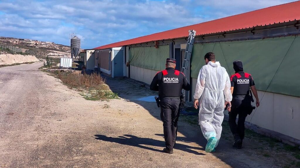 tenerife decharge illegale amiante