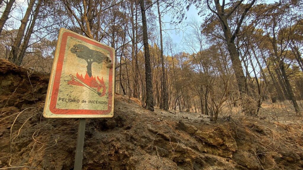 tenerife psoe prevention incendies coupes cabildo